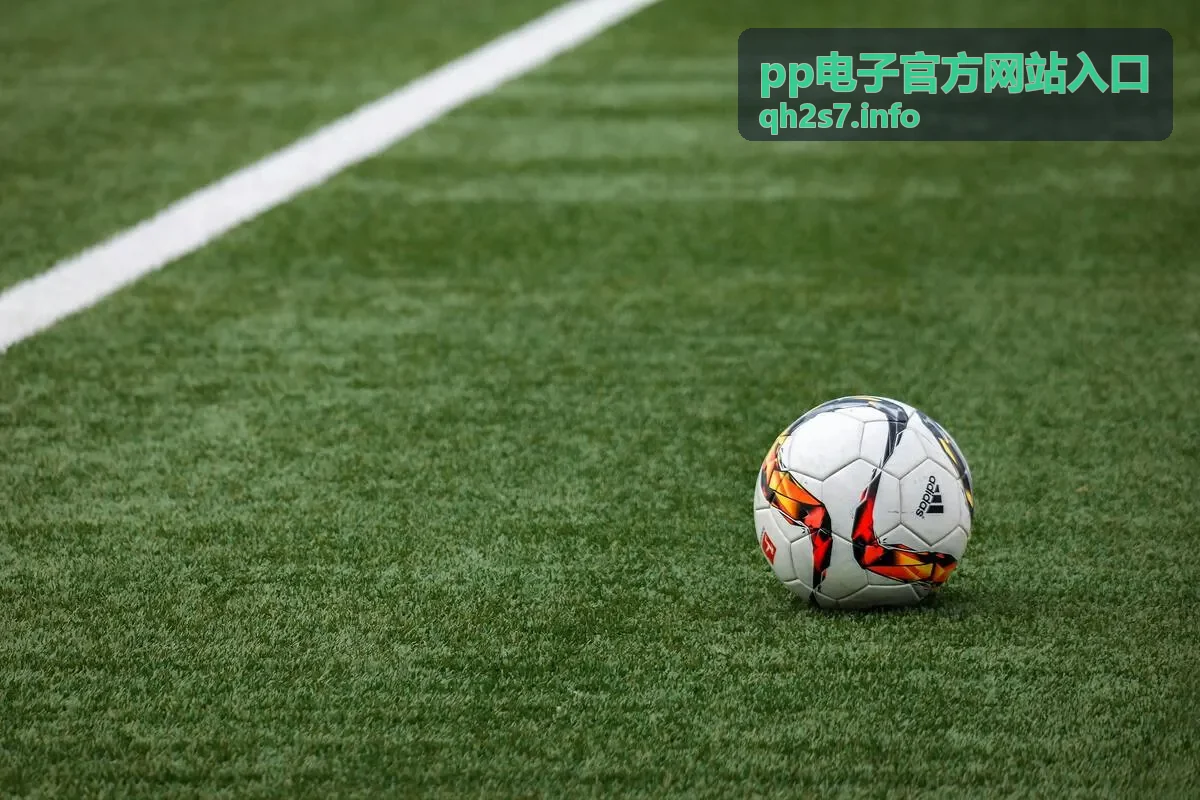 pp电子官方网站入口 入口指南与官网页面展示