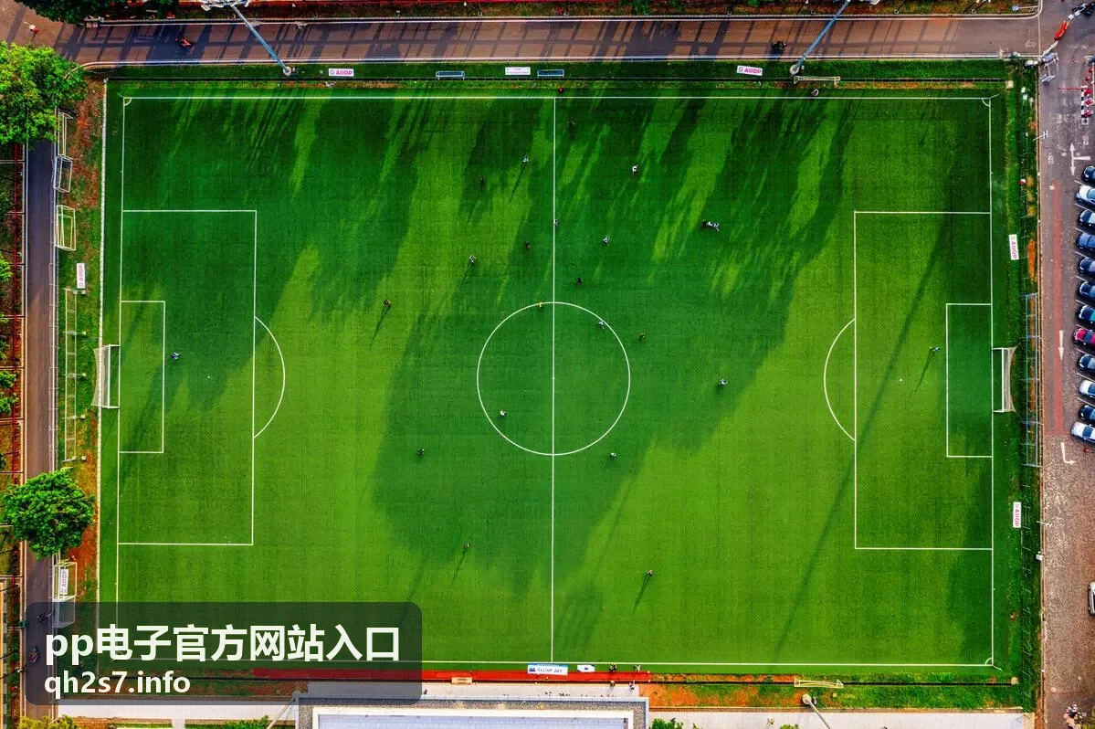 pp电子官方网站入口 的访问前准备